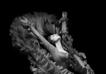 Las carnes del pensamiento. Compañía Mónica Iglesias en Madrid