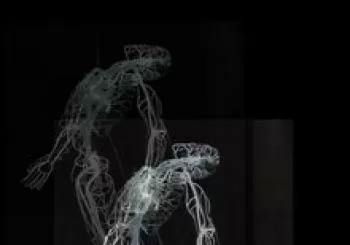 ACASO CUERPOS en Madrid
