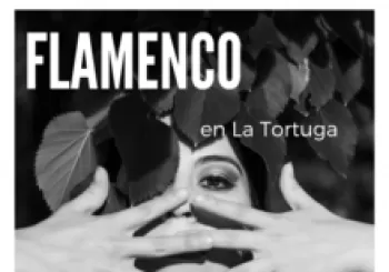 Flamenco en Madrid