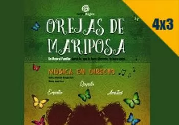 Orejas de Mariposa en Valladolid