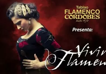Vivir Flamenco - Gran Festival Flamenco de Barcelona 2019 (Palau de la Música Catalana)