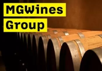 CataMGWinesGroup