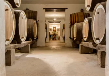 Visita a bodega típica con degustación y al Jardín Canario