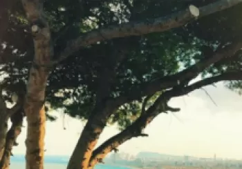 RESERVA CAIXA MIRADOR 17h en Montgat