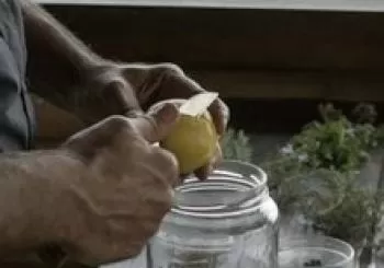 Taller de ratafia. En La Garriga