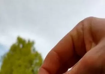 Ser devenir, todo el rato (activitat paral·lela) en Barcelona