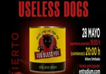Concierto Useless Dogs. Sala Elefante Blanco en Madrid