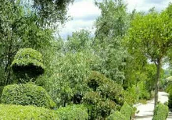 Entrada general para todo el año . CADUCIDAD 31 DE DICIEMBRE en San Martín de Valdeiglesias