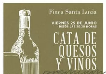 Cata de quesos y vinos | Premium edition en Sant Joan D'Alacant