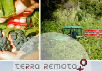 Cata con Terra Remota - Adalta en Barcelona