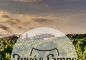 Cata con Juvé & Camps en Barcelona