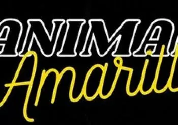 Animal Amarillo - 