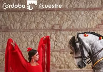 Pasion y Duende del Caballo Andaluz en Córdoba