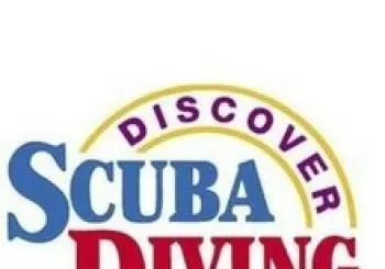 Bautizo de buceo. En Valencia