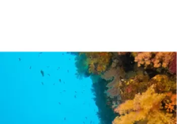 Curso Buceo Profundo. En Valencia