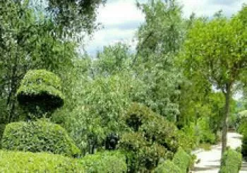 Entrada general para todo el año . CADUCIDAD 31 DE DICIEMBRE. Jueves y Viernes hasta las 15 horas. Sábado y Domingo desde las 10:30 a 21:45 horas a San Martín de Valdeiglesias