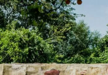 ARQUEOLOGÍA EN FAMILIA EN EL ALAMILLO en SEVILLA