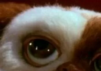 Cinema a la fresca al Panoràmic sessió 1 - Gremlins en Montgat