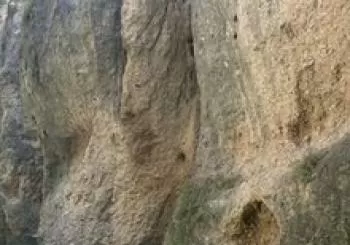 Visita JARDINES forestier y a la mina de agua en Ronda