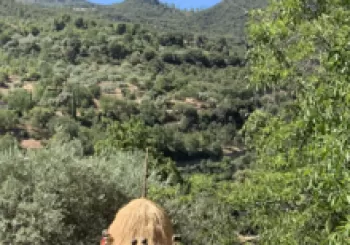 Cueva Secreta : 'Almavera' en Güejar Sierra