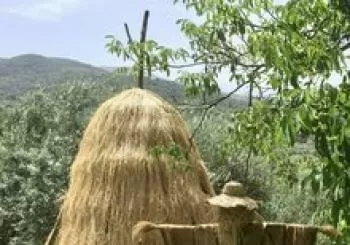 'Almavera (Sonata para violín y títeres)' en Güéjar Sierra
