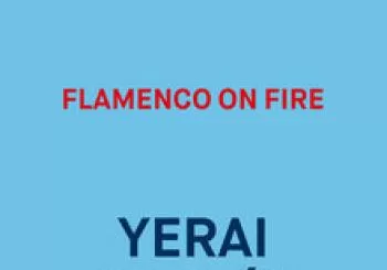Yerai Cortés - Flamenco on Fire en Pamplona