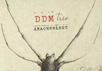 DDM en Pontós