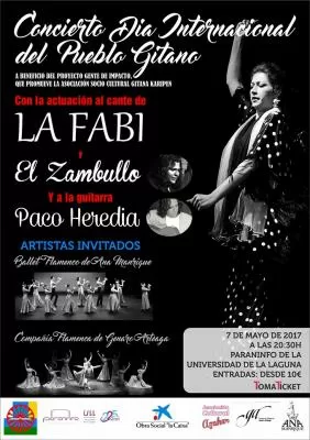 Concierto día internacional del Pueblo gitano