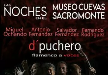 D´PUCHERO en GRANADA