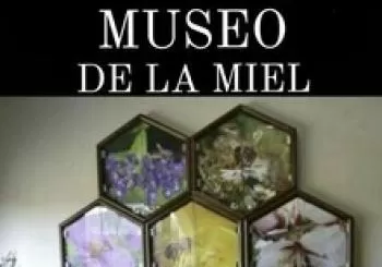 MUSEO DE LA MIEL en FUENLABRADA DE LOS MONTES