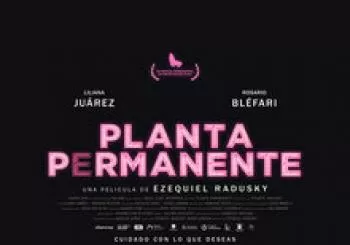 PLANTA PERMANENTE en Donosti