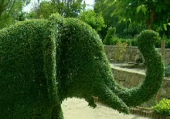 ENTRADAS PROMOCIÓN. HORARIO de LUNES A VIERNES DE 10:30 A 15 horas . SÁBADOS Y DOMINGOS DE 10:30 A 21:45 HORAS. CADUCIDAD 31 DE DICIEMBRE DE 2021 en San Martín de Valdeiglesias