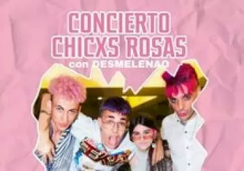 CHICXS ROSAS en CONCIERTO con DESMELENAO en Andalucía