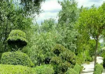 Entrada general para todo el año . CADUCIDAD 31 DE DICIEMBRE. De Lunes a Viernes hasta las 15 horas. Sábado y Domingo desde las 10:30 a 21:45 horas en San Martín de Valdeiglesias