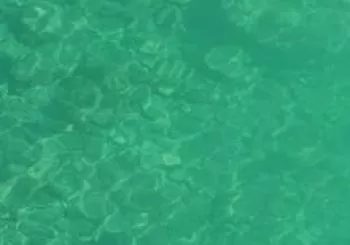 I Escola Nova: Mallorca front l'emergència climàtica en Colònia de Sant Pere (Artà)