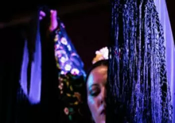Espectáculo Flamenco en La Petenera en Granada
