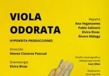 Viola Odorata en Madrid
