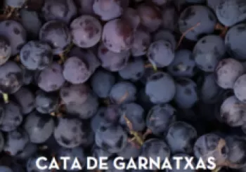 Cata Garnachas del mundo en Barcelona