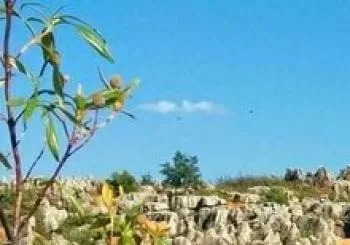 EL CERRO OCULTO en San Nicolás del Puerto
