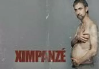 Ximpanzé en Barcelona