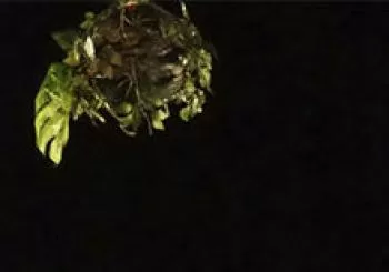 'El fin de las cosas' de Cía. Eva Guerrero (Circula! 2019). En Barcelona