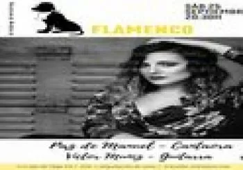 CICLO PERRO PACO FLAMENCO II: Paz de Manuel y Víctor Muñíz en Madrid