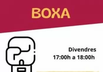 TALLER DE BOXA en Barcelona