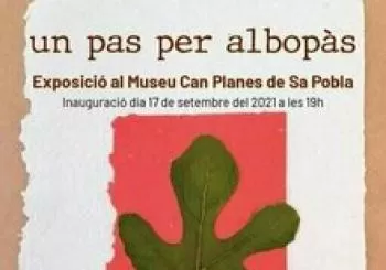 Visita escolar 