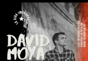 Concierto David Moya en 