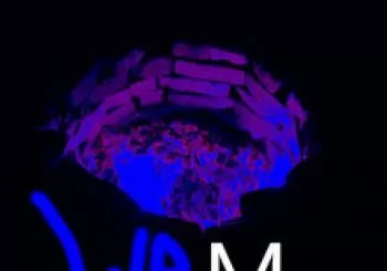 WAM vol. 2. Ciclo performático incoherente en Barcelona