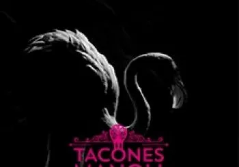 Tacones Manoli en Madrid