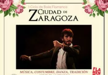 DANIEL NAVARRO - CICLO DE BAILE FLAMENCO CIUDAD DE ZARAGOZA