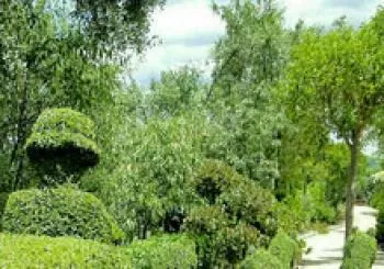 Entrada general para todo el año SIN CADUCIDAD. De Lunes a Viernes hasta las 15 horas. Sábado y Domingo desde las 10:30 a 21:00 horas en San Martín de Valdeiglesias