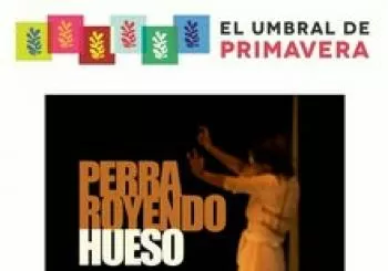 Perra Royendo Hueso en Madrid